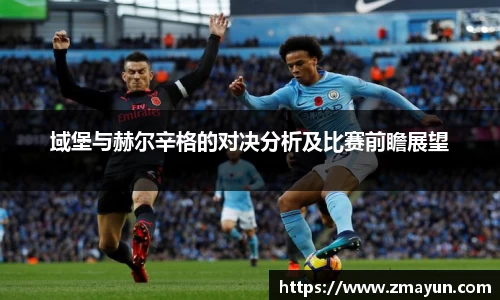 域堡与赫尔辛格的对决分析及比赛前瞻展望